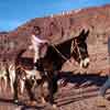 Calico California, February 1971