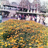 Disneyland entrance area, May 1975