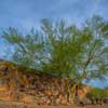 Taliesin West in Scottsdale Arizona December 2014