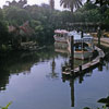 Adventureland Jungle Cruise