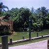 Adventureland Jungle Cruise