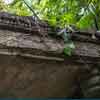 Disneyland Jungle Cruise Ancient Shrine May 2015