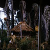 Adventureland Jungle Cruise