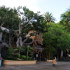 Jungle Cruise Boathouse, October 2010