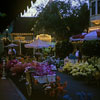 Flower Market September 1961