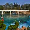 Disneyland Finding Nemo Submarine Voyage photo, October 2011