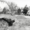 Construction of Nature's Wonderland attraction April 1960