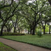 Savannah, Chatham Square photo, June 2013