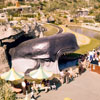 Storybook Land Monstro, July 28, 1958