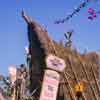 Tiki Room Ticket Booth Roof, August 1966 (note Juan the Barker Bird)